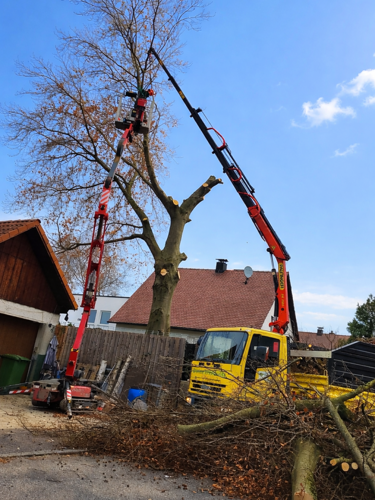 Bruckberg Kronthaler Gammelsdorf Galabau Gartenbau Baumfällung Gemeinde Kommunalarbeit